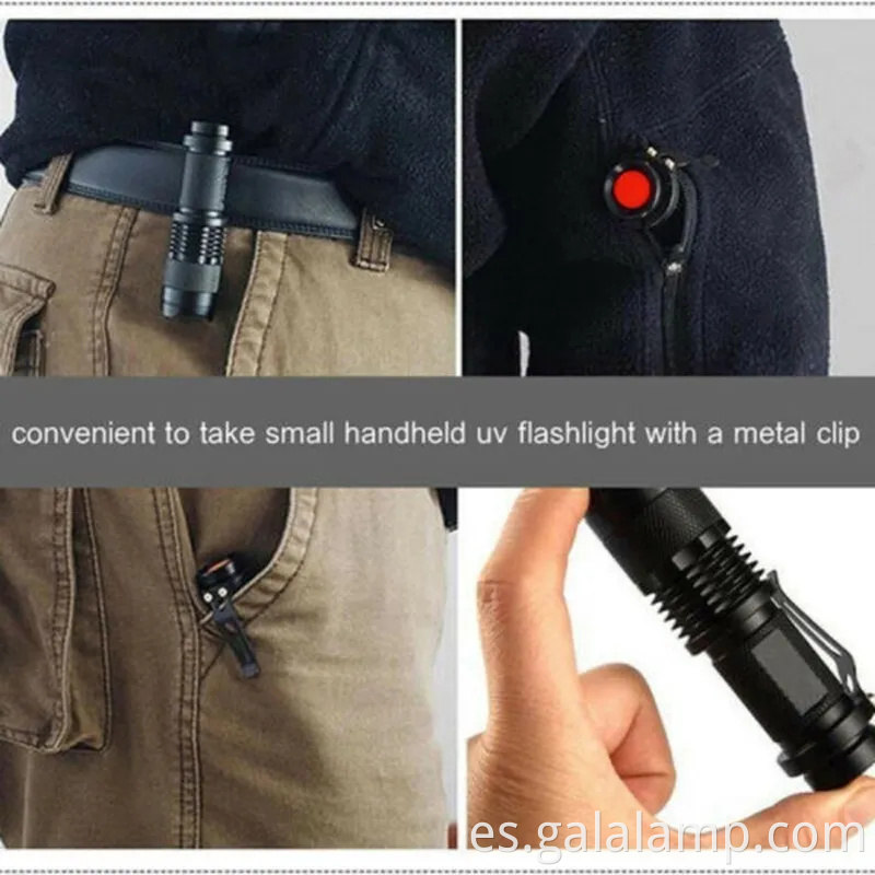 Detector de luz negra UV portátil para escorpión y detección de orina de mascotas